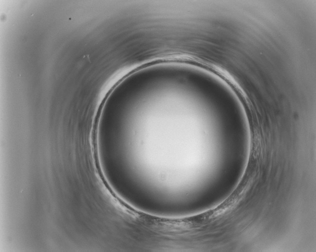 X0000060770959200511141254