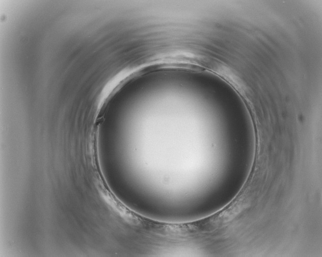 X0000060770960200511141254