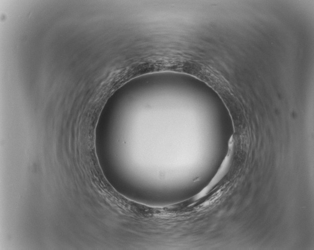 X0000060770961200511141253