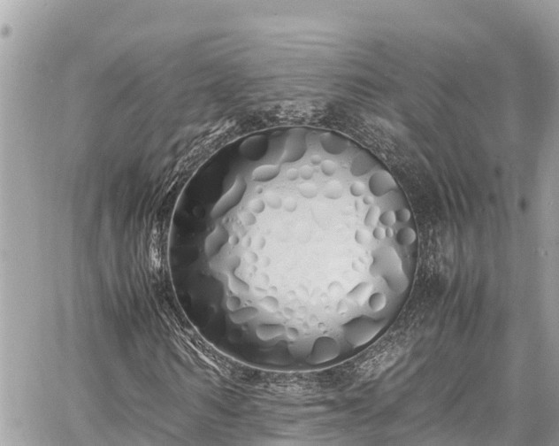 X0000060770962200511141253