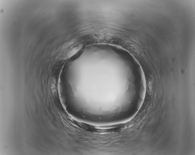 X0000060770963200511141253