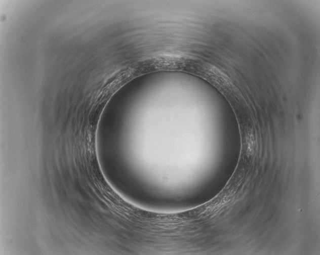 X0000060770964200511141253