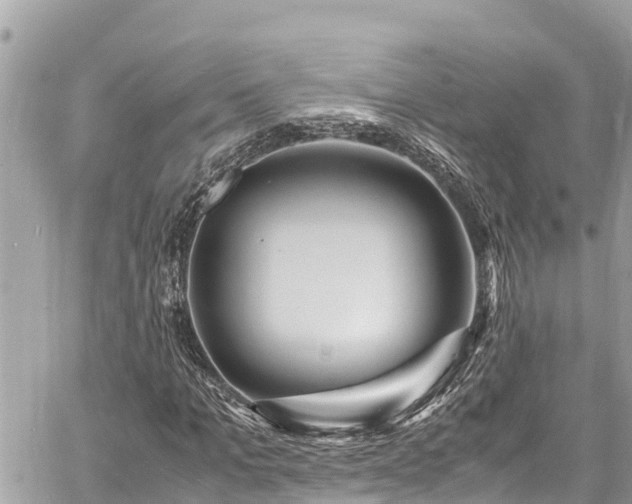 X0000060770965200511141253