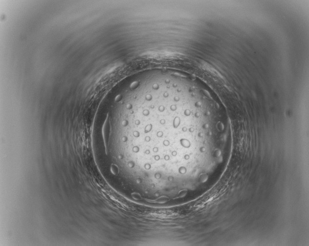 X0000060770966200511141253