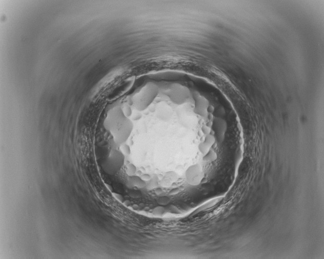 X0000060770967200511141253