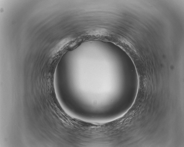 X0000060770968200511141253