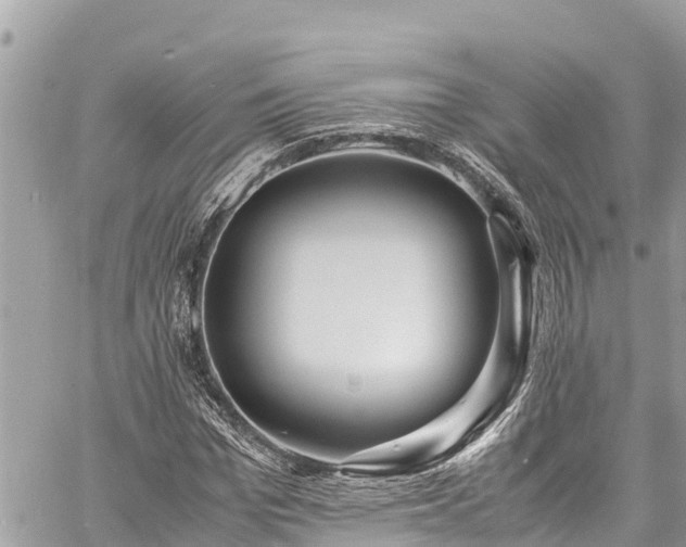 X0000060770969200511141253