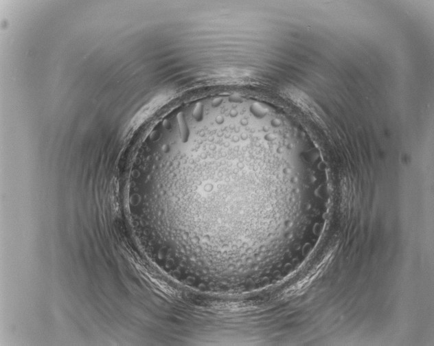 X0000060770970200511141253