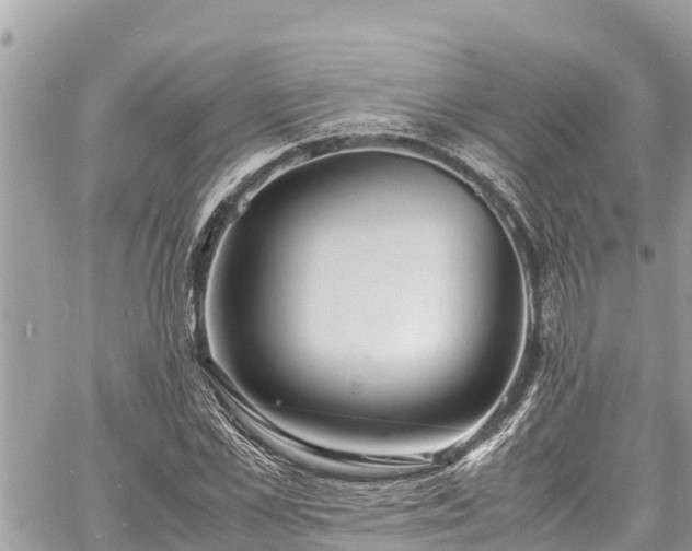 X0000060770973200511141253