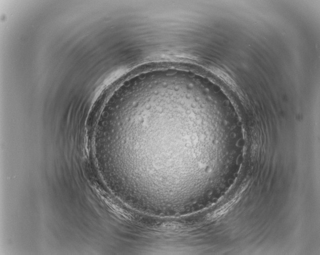 X0000060770974200511141253