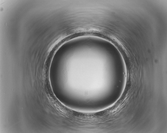 X0000060770975200511141253