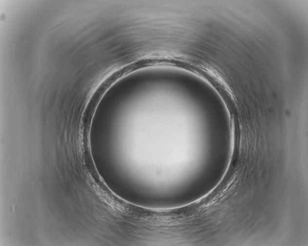 X0000060770976200511141253