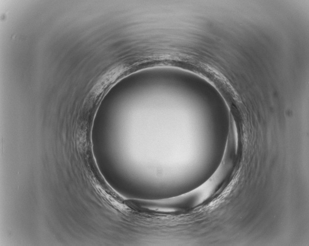 X0000060770977200511141253