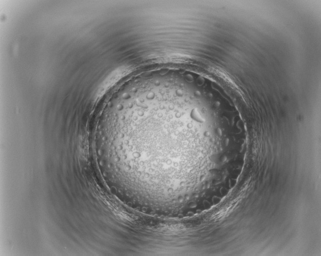 X0000060770978200511141253