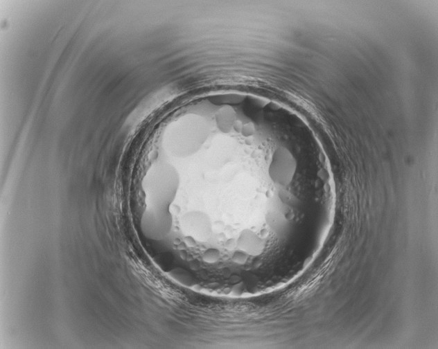 X0000060770979200511141253