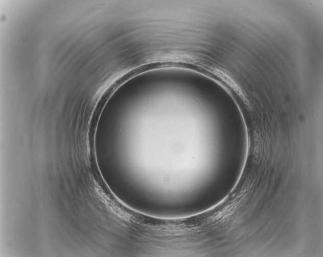 X0000060770980200511141253