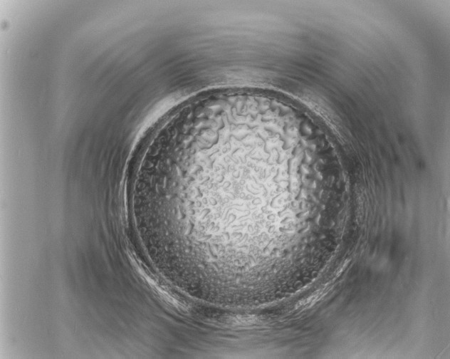 X0000060770982200511141253