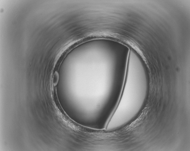 X0000060770984200511141253