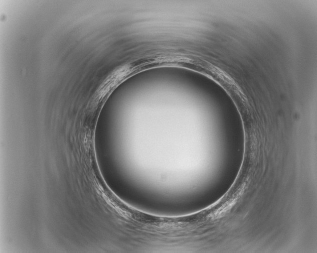 X0000060770985200511141253