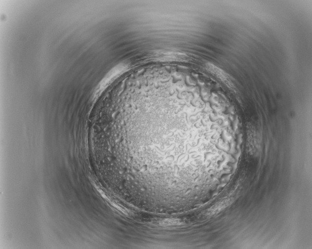 X0000060770986200511141253