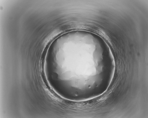 X0000060770987200511141253