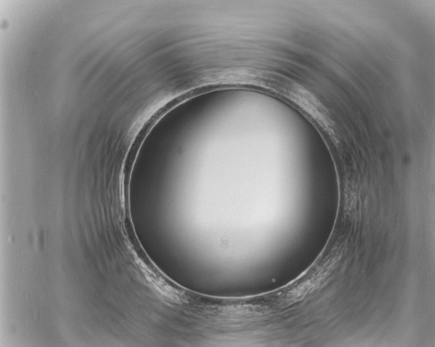 X0000060770988200511141253