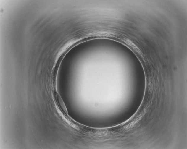 X0000060770989200511141253