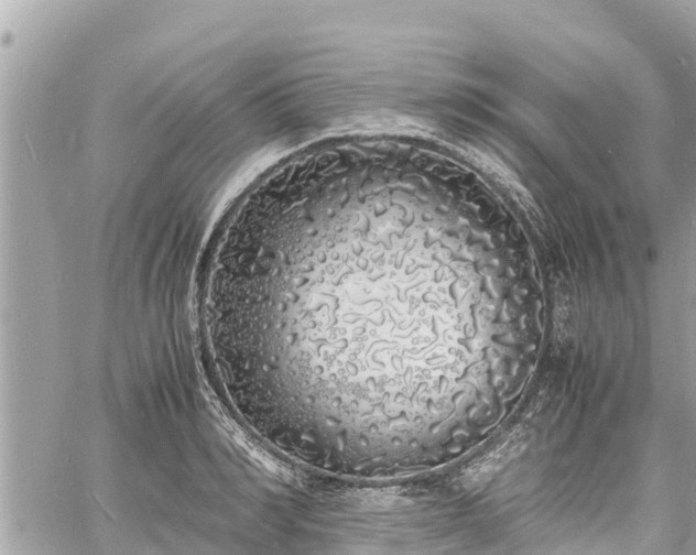 X0000060770990200511141252