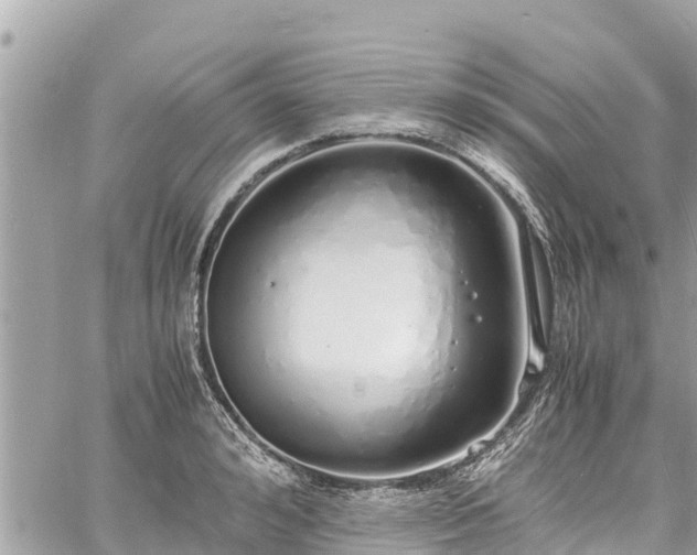 X0000060770992200511141252