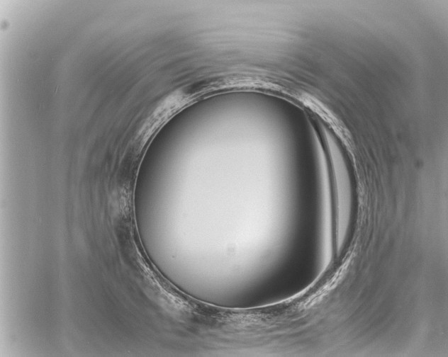 X0000060770993200511141252