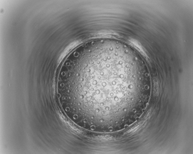 X0000060770994200511141252