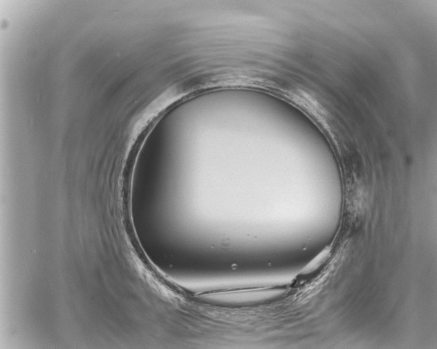 X0000060770995200511141252