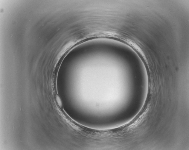 X0000060770997200511141252