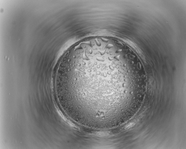 X0000060770998200511141252