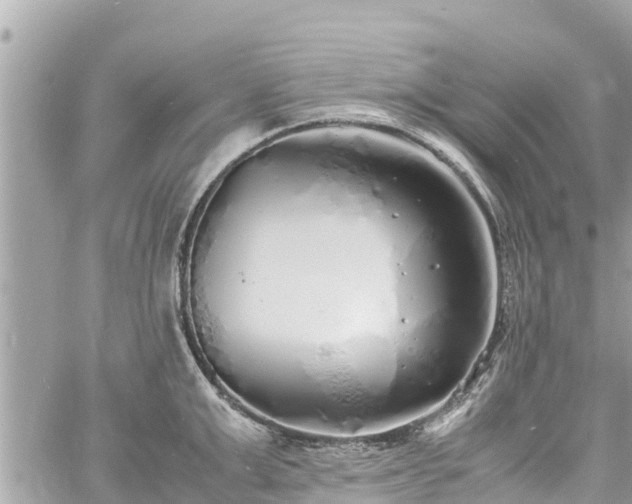 X0000060770999200511141252