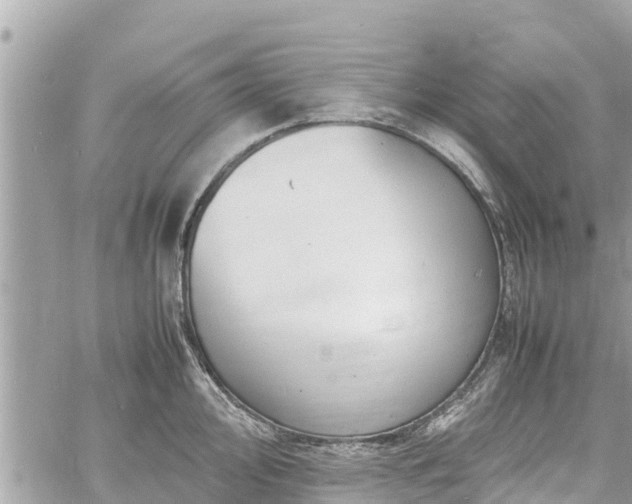 X0000060771000200511141252