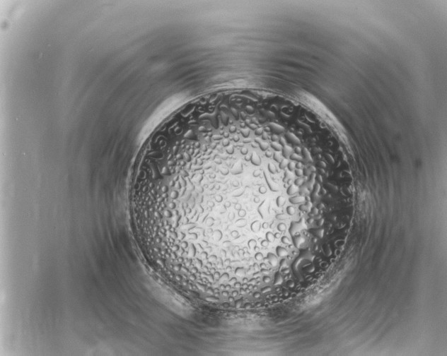 X0000060771002200511141252