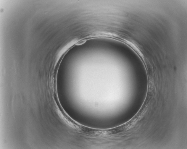 X0000060771003200511141252