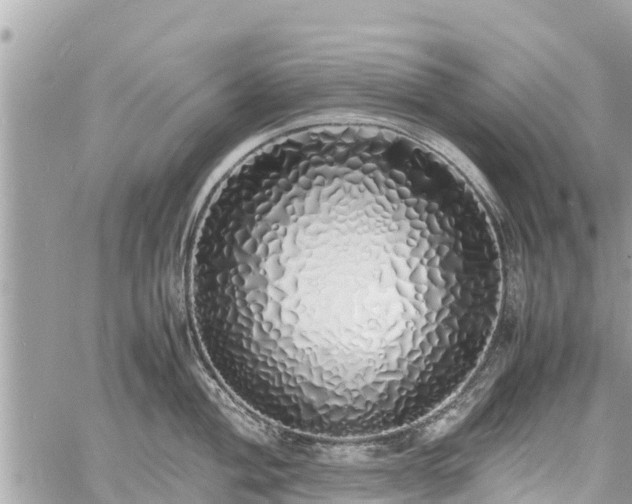 X0000060771004200511141252