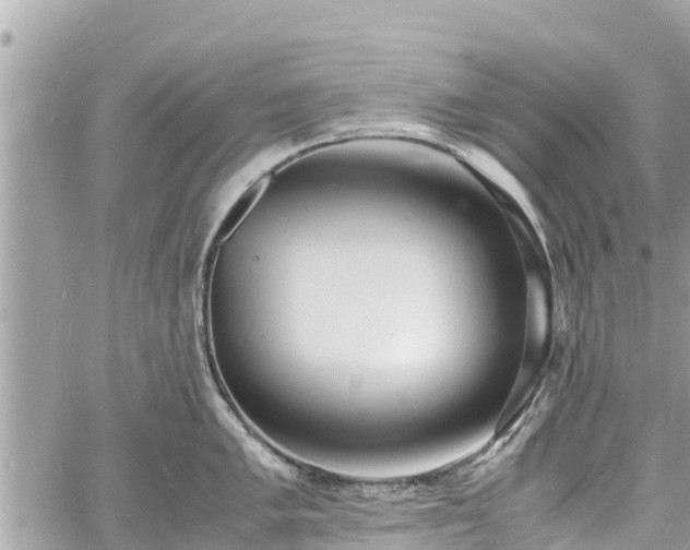 X0000060771005200511141252