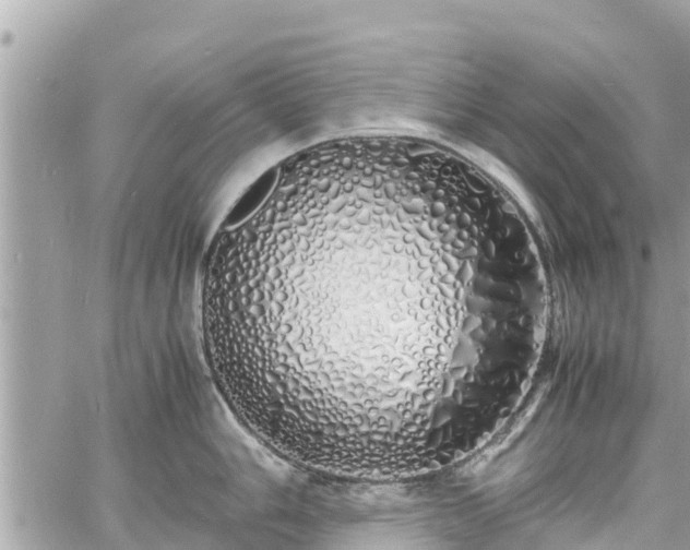 X0000060771006200511141252