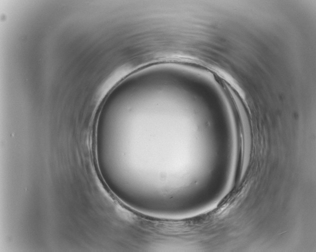 X0000060771007200511141252