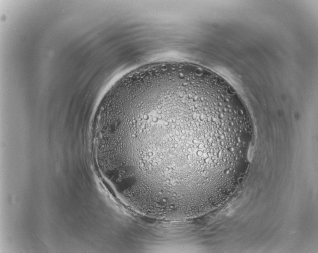 X0000060771008200511141252