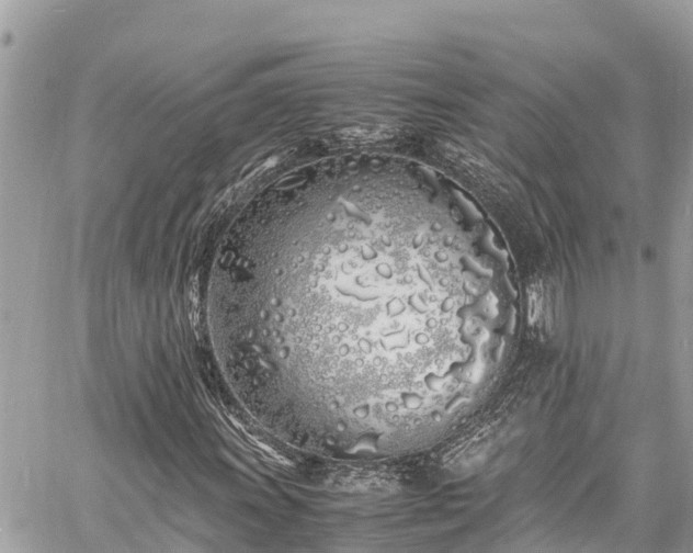 X0000060771011200511141251