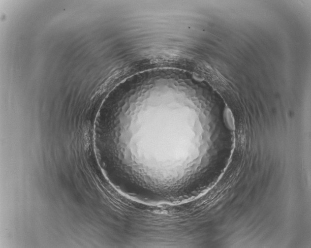 X0000060771012200511141251