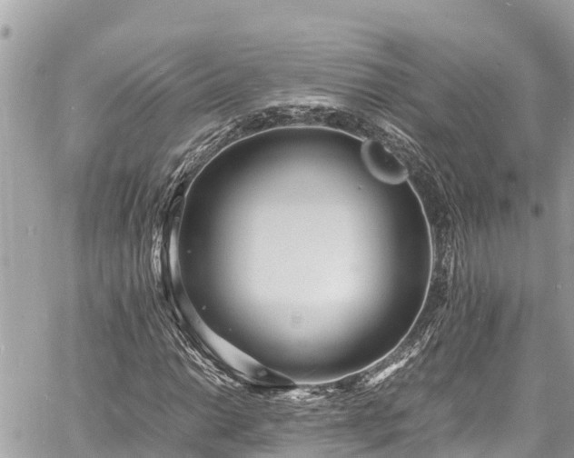 X0000060771014200511141251