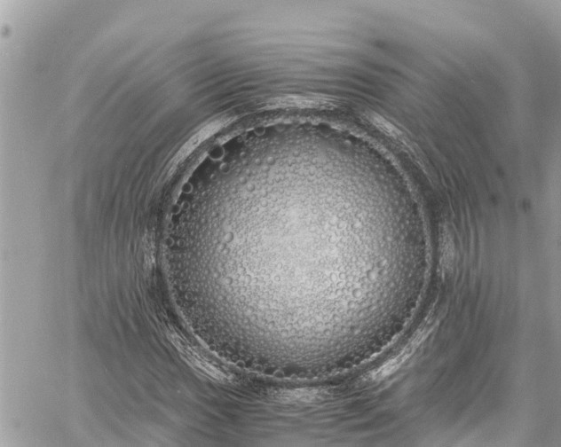 X0000060771017200511141252