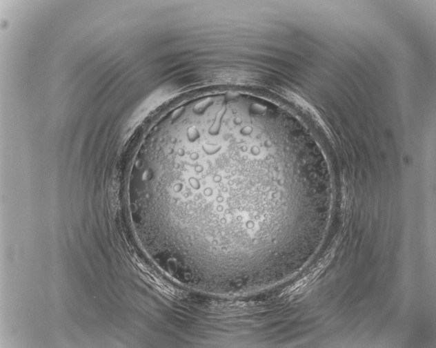 X0000060771019200511141252