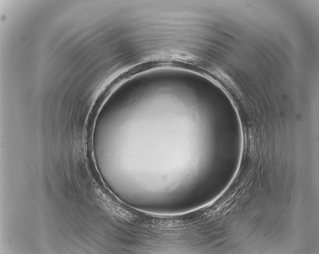 X0000060771020200511141252