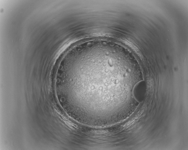 X0000060771023200511141252